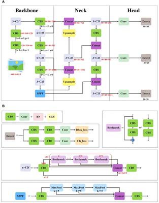 A lightweight and efficient model for grape bunch detection and biophysical anomaly assessment in complex environments based on YOLOv8s